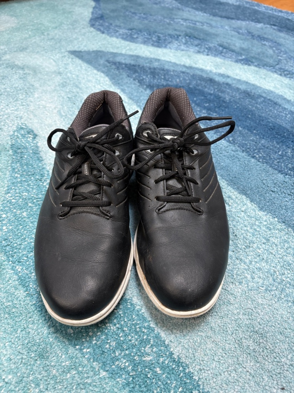 Foot Joy ARC Golf Shoes, Sz 10.5